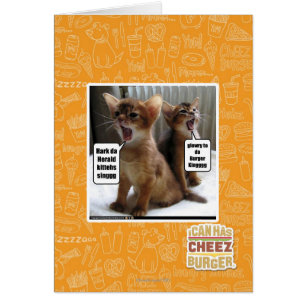 Hymnes de louange de Kitteh