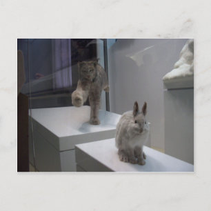 Hyper Lynx läuft (a)Cross-Hare Postkarte