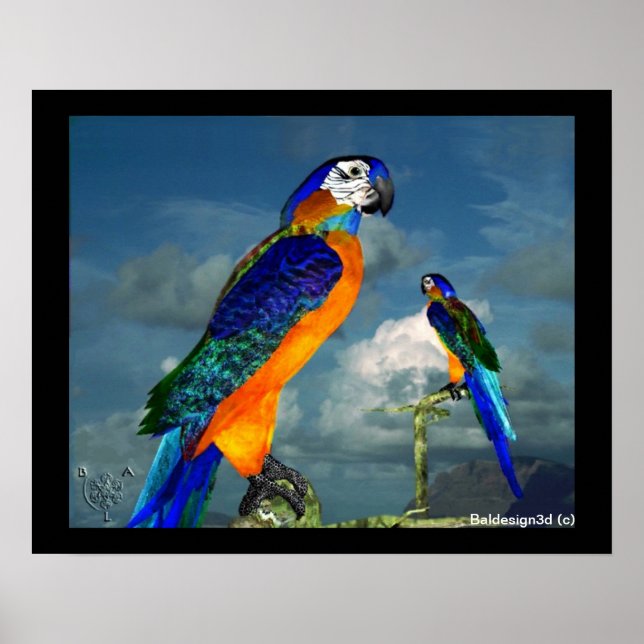 HYPER-PAPAGEIEN / BLAUER ARA POSTER (Vorne)