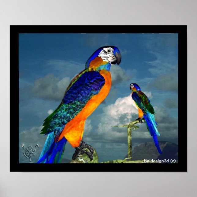 HYPER PARROS / BLAUE ARA POSTER (Vorne)