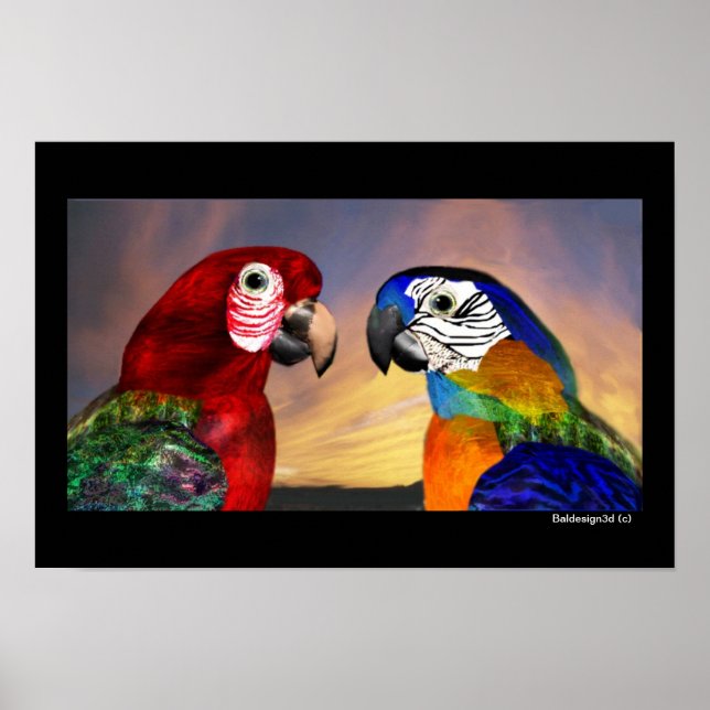 HYPER PARROS / ROTE UND BLAUE ARA POSTER (Vorne)