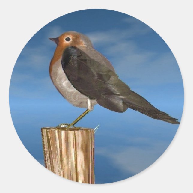 HYPER VRREN / ROBIN ROT BREAST RUNDER AUFKLEBER (Vorderseite)