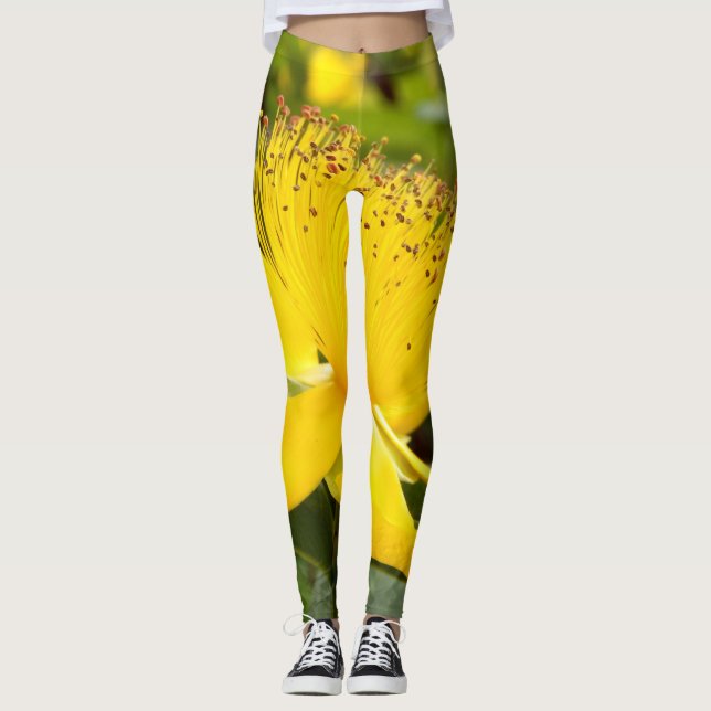 Hypericum Calcyinum Leggings (Vorderseite)