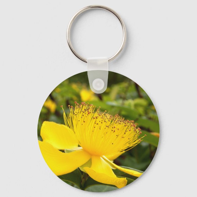 Hypericum Calcyinum Schlüsselring Schlüsselanhänger (Vorderseite)