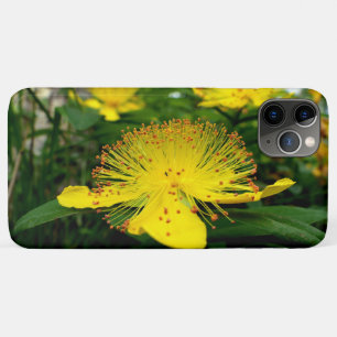 Hypericum calycinum Case-Mate iPhone hülle