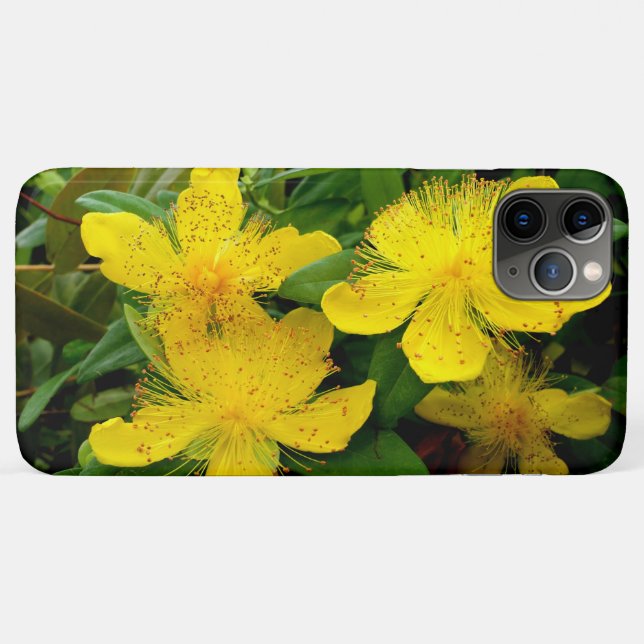 Hypericum calycinum Case-Mate iPhone hülle (Rückseite (Horizontal))
