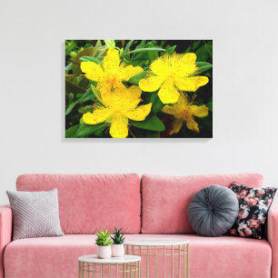 Hypericum calycinum leinwanddruck