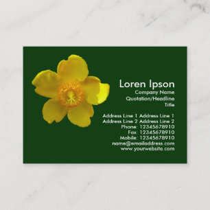 Hypericum Hidcote (Johanniskraut) Dark Green Visitenkarte