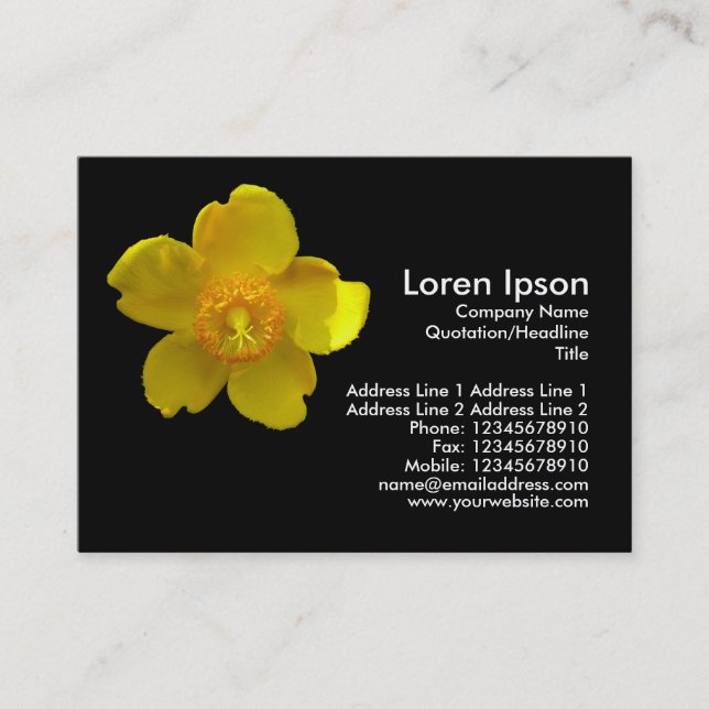 Hypericum Hidcote (Johanniskraut) Visitenkarte (Vorderseite)