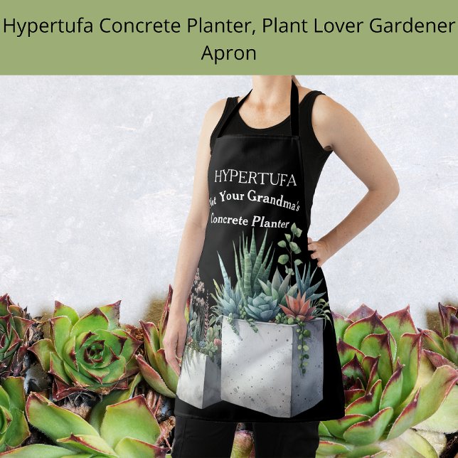 Hypertufa Beton Planters Sukkulare schwarz Schürze (Von Creator hochgeladen)
