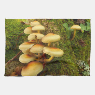 Hypholoma fasciculare Mushroom Teetuch Handtuch