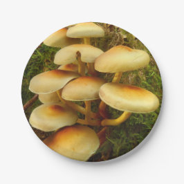 Hypholoma fasciculare Pilz-Papier-Teller Pappteller