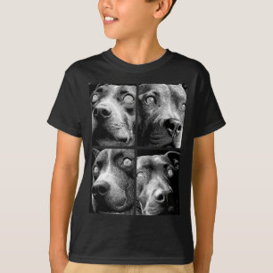 Hypnotische Pitbulls seltsame Augen Weirdcore Grus T-Shirt