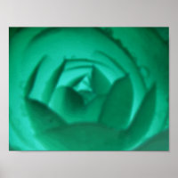 Hypnotischer Kamelien-Blumenaufdruck
