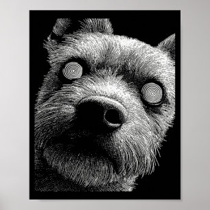 Hypnotischer Yorkshire Terrier Ungleiche Augen Wei Poster