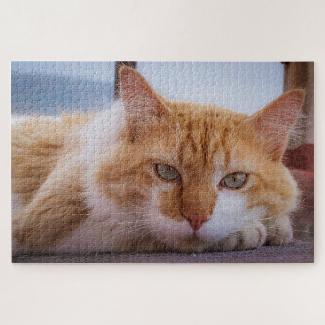 hypnotisches Katzenpuzzle (Horizontal)