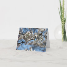 Hypnotisierende Kirschblüten-Grußkarte