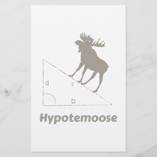 Hypotemoose Math Geek (Vorderseite)