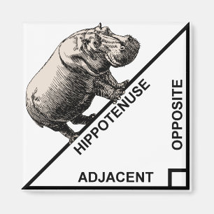 Hypotenuse Hypotenuse Lustige Mathematik Geometrie Magnet