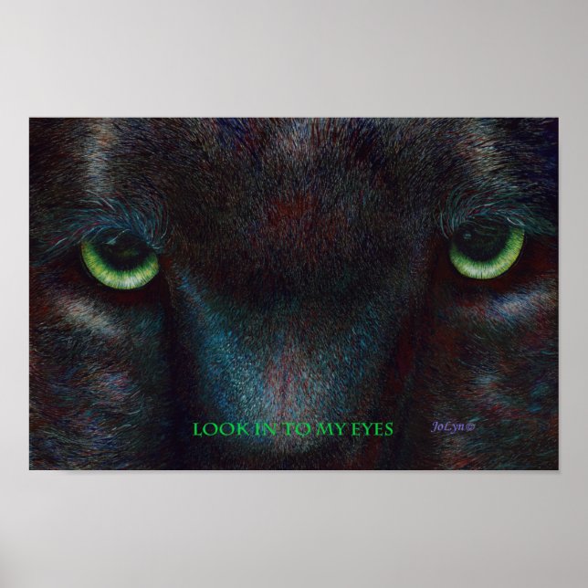 Hyptnotistin Poster (Vorne)