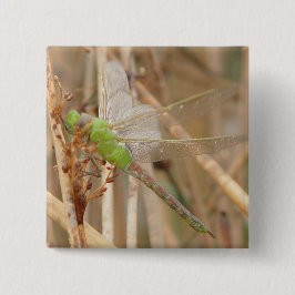 I1 Green Dragonfly Button