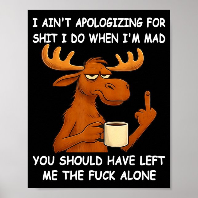 I Ain't Alogizing For I Do When I'm Mad You Should Poster (Vorne)