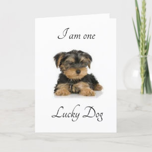 I AM "MARRIED TO YOU" LUCKY DO I AM KARTE