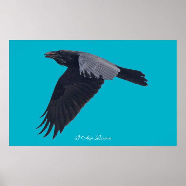 I AM RAVEN V Flying Black Raven Poster (Devant)