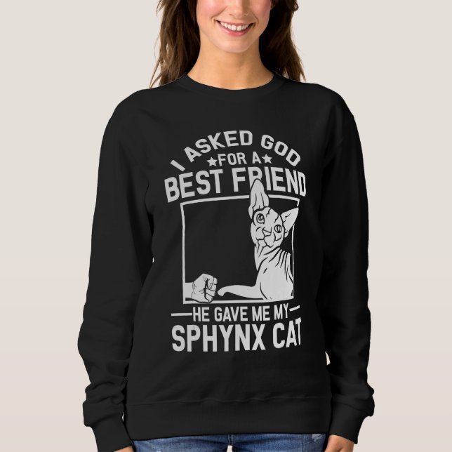 I Asked God For A Best Friend  Sphynx Cat Mom Sweatshirt (Vorderseite)