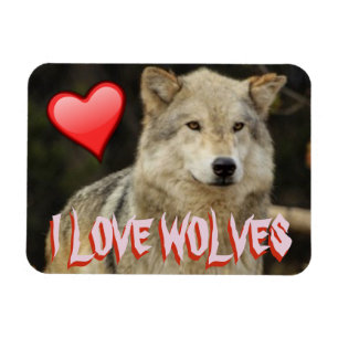 I AUCH LIEBE-WÖLFE - WÖLFE SIND SCHÖN UND FREI MAGNET
