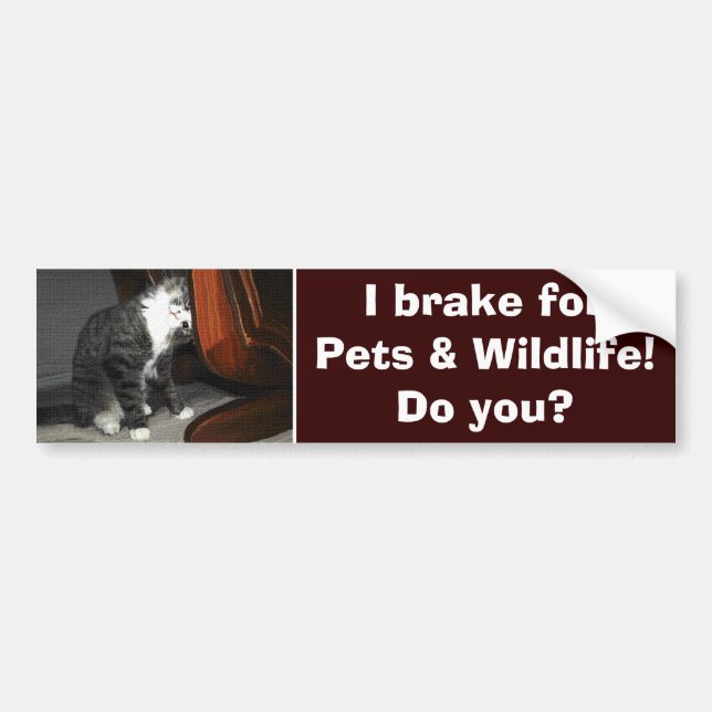 "I BRAKE FOR ANIMAL" Sticker Cat Kitten (Devant)
