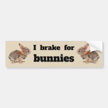 I Brake for Bunnies