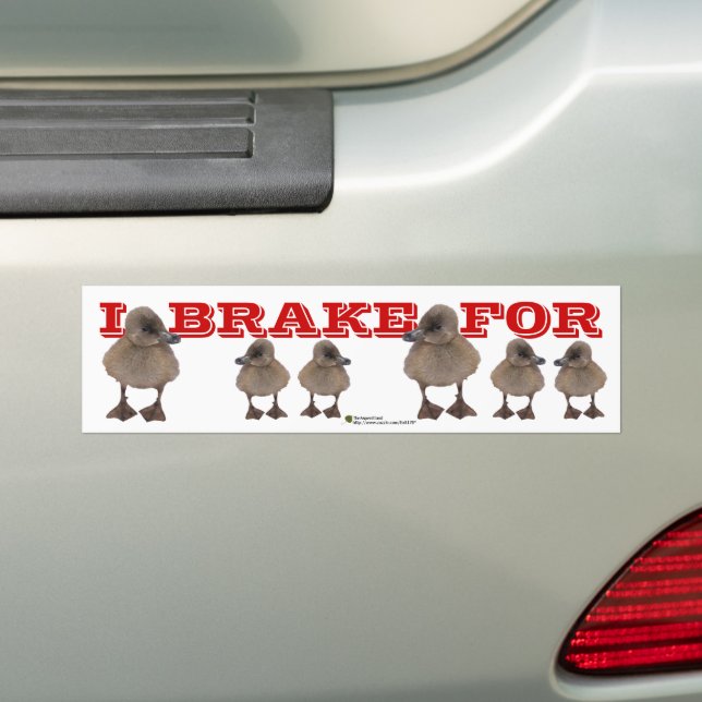 I BRAKE FOR Grey Duckling Foto Personalisiert Autoaufkleber (Auf Auto)