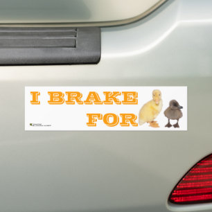 I Bremse für adorable Ducklings Foto Personalisie Autoaufkleber