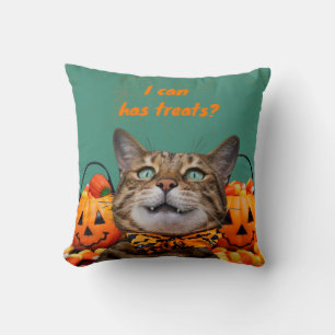 i Can A Traitements Oreiller Chat Throw