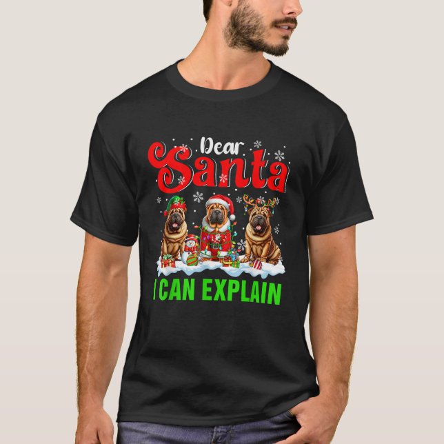 I Can Explain Xmas Three Santa Reindeer Elf Shar P T-Shirt (Vorderseite)