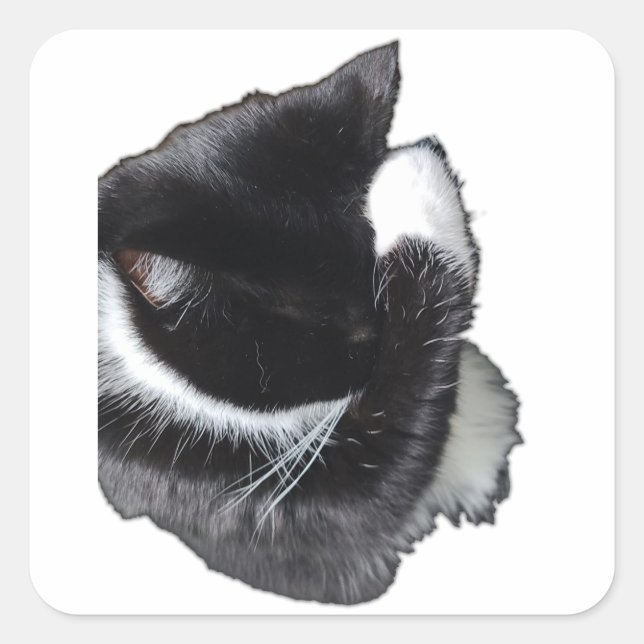 I Can't Even Right Meow Quadratischer Aufkleber (Vorderseite)