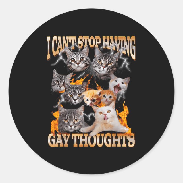 I Can't Stop Having Gay Thoughts Funny Cat Meme Bo Runder Aufkleber (Vorderseite)