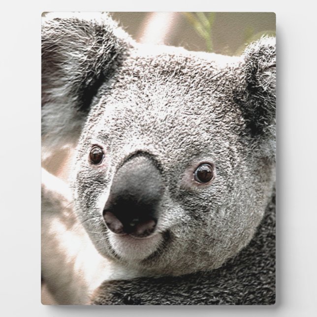 I Care_ Fotoplatte (Vorderseite)