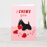 I Chews You Scottish Terrier Valentine's Day