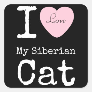 I coeur mon autocollant sibérien de chat