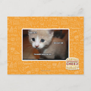 I didn't do it. postkarte