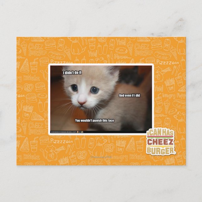 I didn't do it. postkarte (Vorderseite)