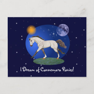 I Dream of Connemara Ponies Notecard Postkarte