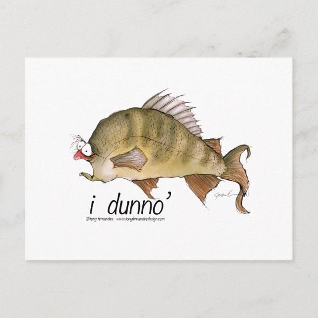 i dunno, tony fernandes postkarte (Vorderseite)