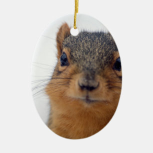 I, Eichhörnchen Keramik Ornament