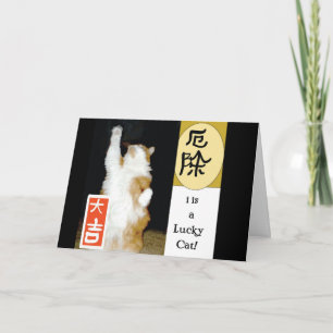 i est un Chat chanceux, Merci