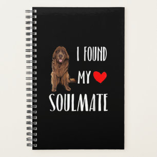 I found my soulmate newsletter dog best friend gic