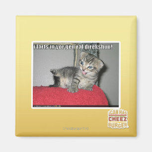 I Furzen in Ihrem gen'ral direkshun Magnet