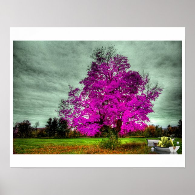 I God Played Dice mit dem Universe Poster (Vorne)